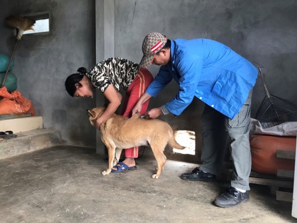 Tuyên Quang: Tăng cường phòng chống bệnh dại