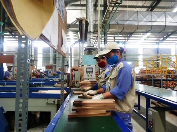 Công nhân làm việc tại Công ty Cổ phần Woodsland Tuyên Quang