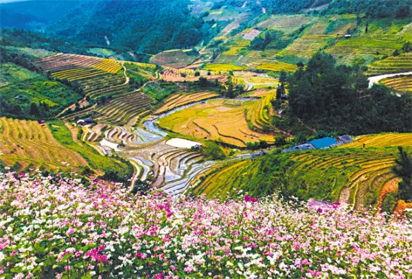 Yên Bái: Độc đáo homestay La Pán Tẩn