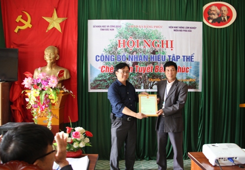 Công bố Nhãn hiệu tập thể "Chè Shan tuyết Bằng Phúc"