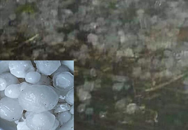 Tuyên Quang: Xuất hiện mưa đá tại một số địa phương