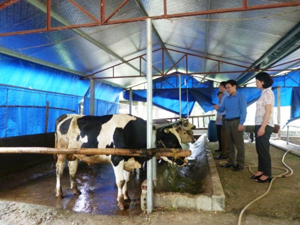 Tuyên Quang: Những bước tiến vững chắc trong phát triển nông nghiệp