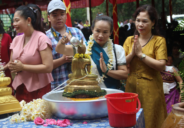 Hoa Chăm Pa - Biểu tượng con người, đất nước Lào