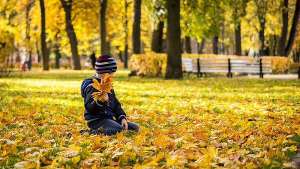Có một mùa trong ánh sáng lạ kỳ…