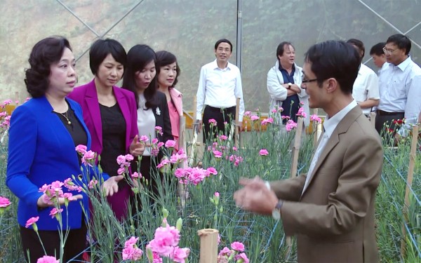 Vùng đất nhớ của Thủ đô