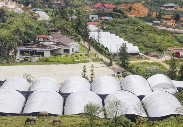 Rộn ràng mùa thu hoạch nấm