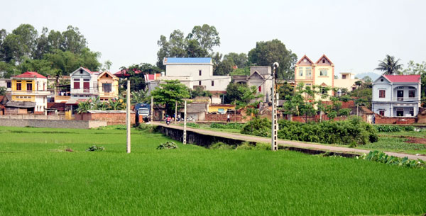Thanh Trì nâng cao tiêu chí xây dựng nông thôn mới