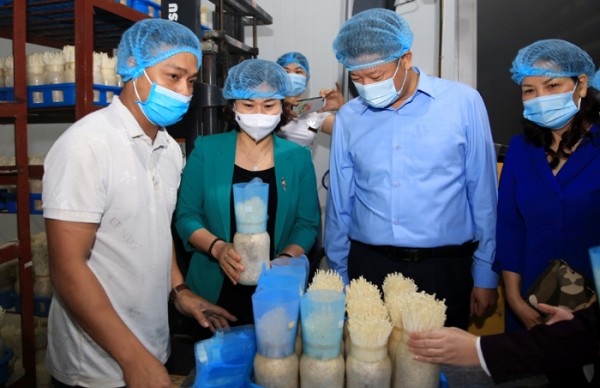 MỸ ĐỨC PHẤN ĐẤU TRỞ THÀNH HUYỆN ĐẠT CHUẨN NÔNG THÔN MỚI VÀO NĂM 2022