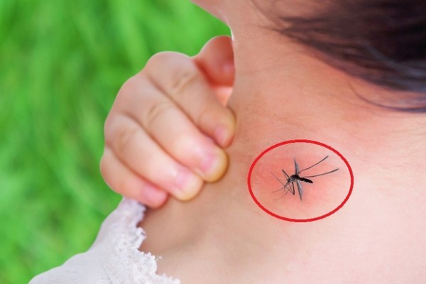 Sốt xuất huyết tăng cao ở các tỉnh phía Nam, riêng TP.HCM đã có 9 người qua đời vì sốt xuất huyết
