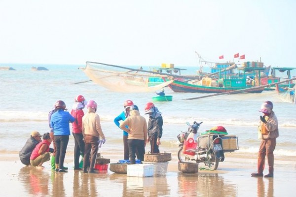 Nhiều ngư dân ở miền Trung trúng đậm “lộc biển” đầu xuân.