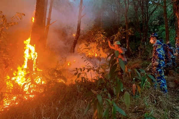 Cán bộ, chiến sĩ Lữ đoàn Hải quân đánh bộ 147 tích cực tham gia chữa cháy rừng