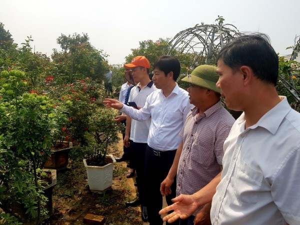 Ông Nguyễn Xuân Định, Phó Chủ tịch Hội Nông dân Việt Nam tham quan mô hình trồng hoa hồng đầu chậu.
