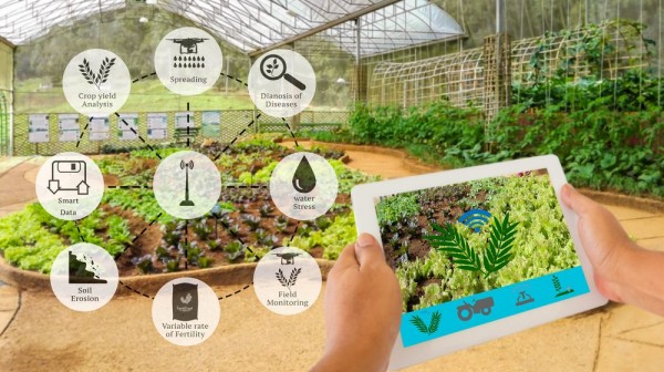 Xây dựng các chính sách phù hợp với chuyển đổi số và ứng dụng AI trong sản xuất nông nghiệp