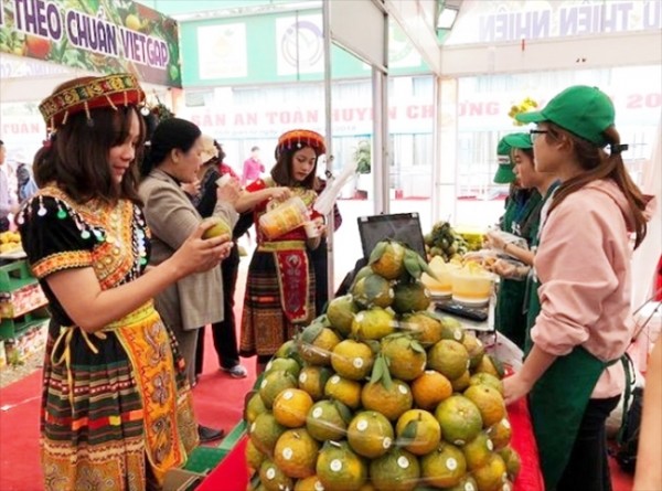 Giới thiệu, quảng bá các sản phẩm OCOP Hà Giang tại Hà Nội