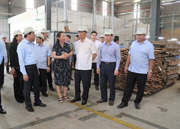 Lãnh đạo Ban Kinh tế Trung ương khảo sát tại Công ty Cổ phần giấy An Hòa