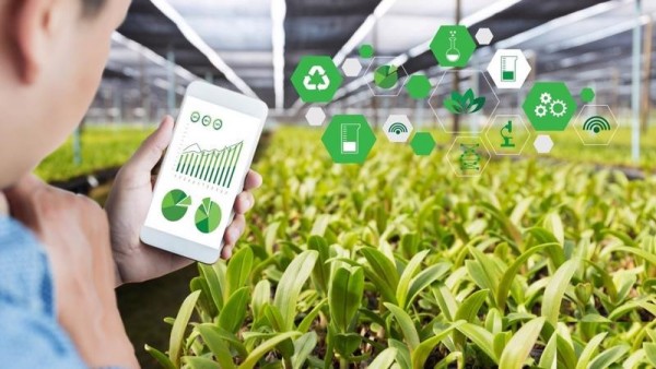 Các ứng dụng trí tuệ nhân tạo đang thay đổi mạnh mẽ sản xuất nông nghiệp. Ảnh minh họa