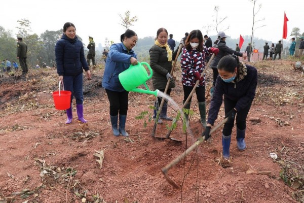 Bắc Giang trồng được hơn 1,1 nghìn ha rừng và hàng trăm nghìn cây phân tán dịp xuân Quý Mão. (Ảnh: Báo Bắc Giang)