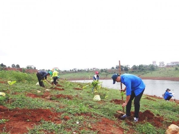 4 tháng cả nước trồng được 67,2 nghìn ha rừng