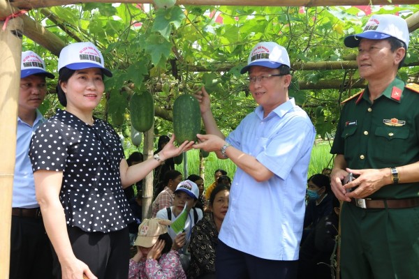 Vườn bí xanh thơm trong chương trình Xúc tiến tiêu thụ bí xanh thơm, sản phẩm OCOP và trải nghiệm sinh thái vùng bí xanh thơm Ba Bể (Ảnh: VOV)