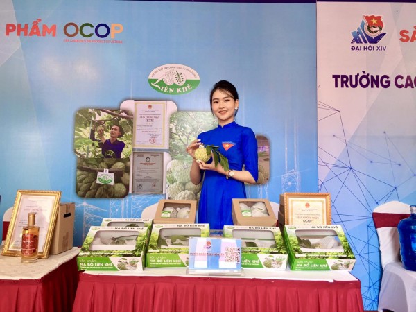 CHUỖI GIÁ TRỊ NA BỞ CỦA XÃ LIÊN KHÊ, HUYỆN THỦY NGUYÊN, THÀNH PHỐ HẢI PHÒNG