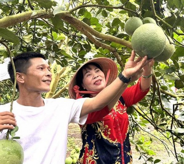 Làm du lịch trên nền nông thôn mới ở Đồng Nai
