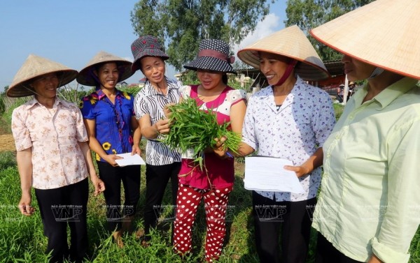 HTX DỊCH VỤ NÔNG NGHIỆP SẠCH HỮU CƠ THANH XUÂN GÓP PHẦN MANG LẠI NGUỒN RAU SẠCH VÀ AN TOÀN CHO NGƯỜI TIÊU DÙNG