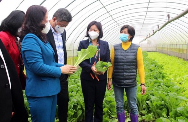 Huyện Đan Phượng đi đầu trong xây dựng nông thôn mới nâng cao, kiểu mẫu