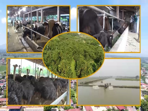 Ba Vì: Nâng cao đời sống cho người dân ở xã dân tộc, miền núi trong nông thôn mới