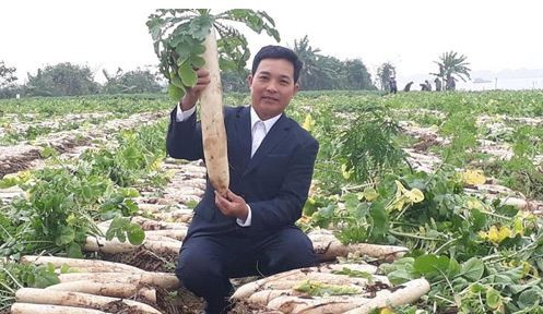 Hơn 9.000 hộ nông dân thành phố Bắc Ninh đạt danh hiệu sản xuất kinh doanh giỏi