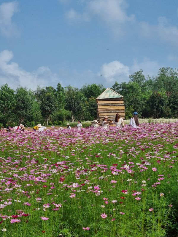 H FARM - ĐIỂM ĐẾN LÝ TƯỞNG TEAM-BUILDING