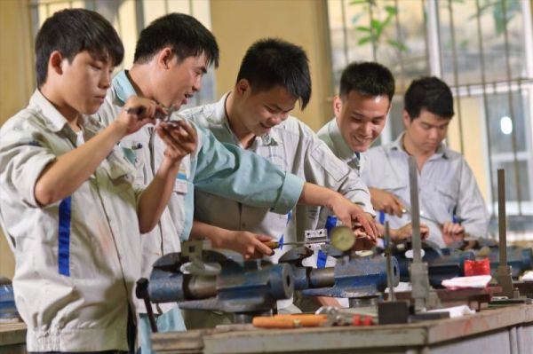 TỪ GIẢNG ĐƯỜNG ĐẾN KHU VỰC KINH TẾ TƯ NHÂN:  DỰ ĐỊNH NGHỀ...