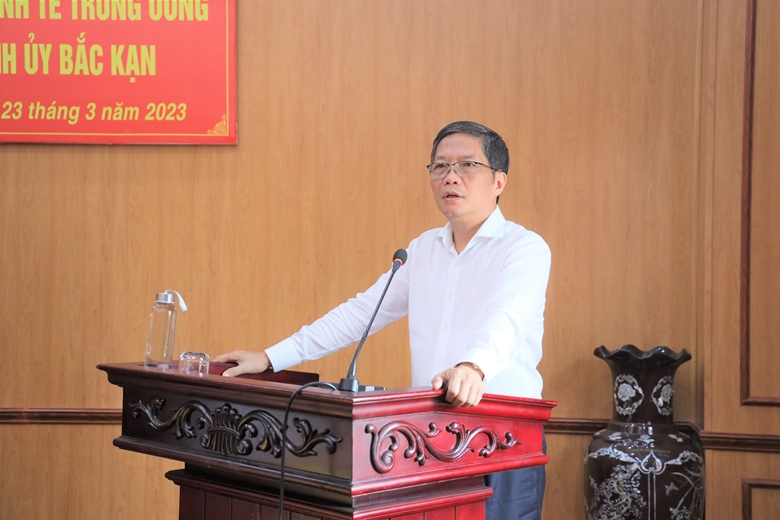 Đồng chí Trần Tuấn Anh phát biểu chỉ đạo tại buổi làm việc.