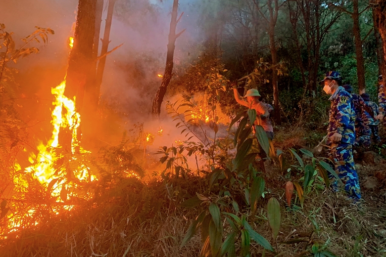 Cán bộ, chiến sĩ Lữ đoàn Hải quân đánh bộ 147 tích cực tham gia chữa cháy rừng