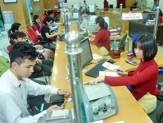 Ảnh minh họa: M.P