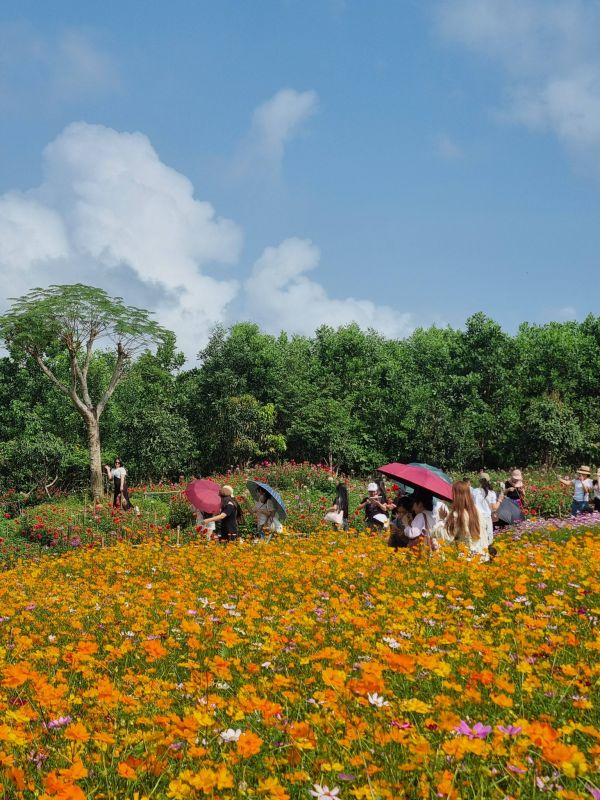 647550918 122123647683085431 4489329789331165487 n